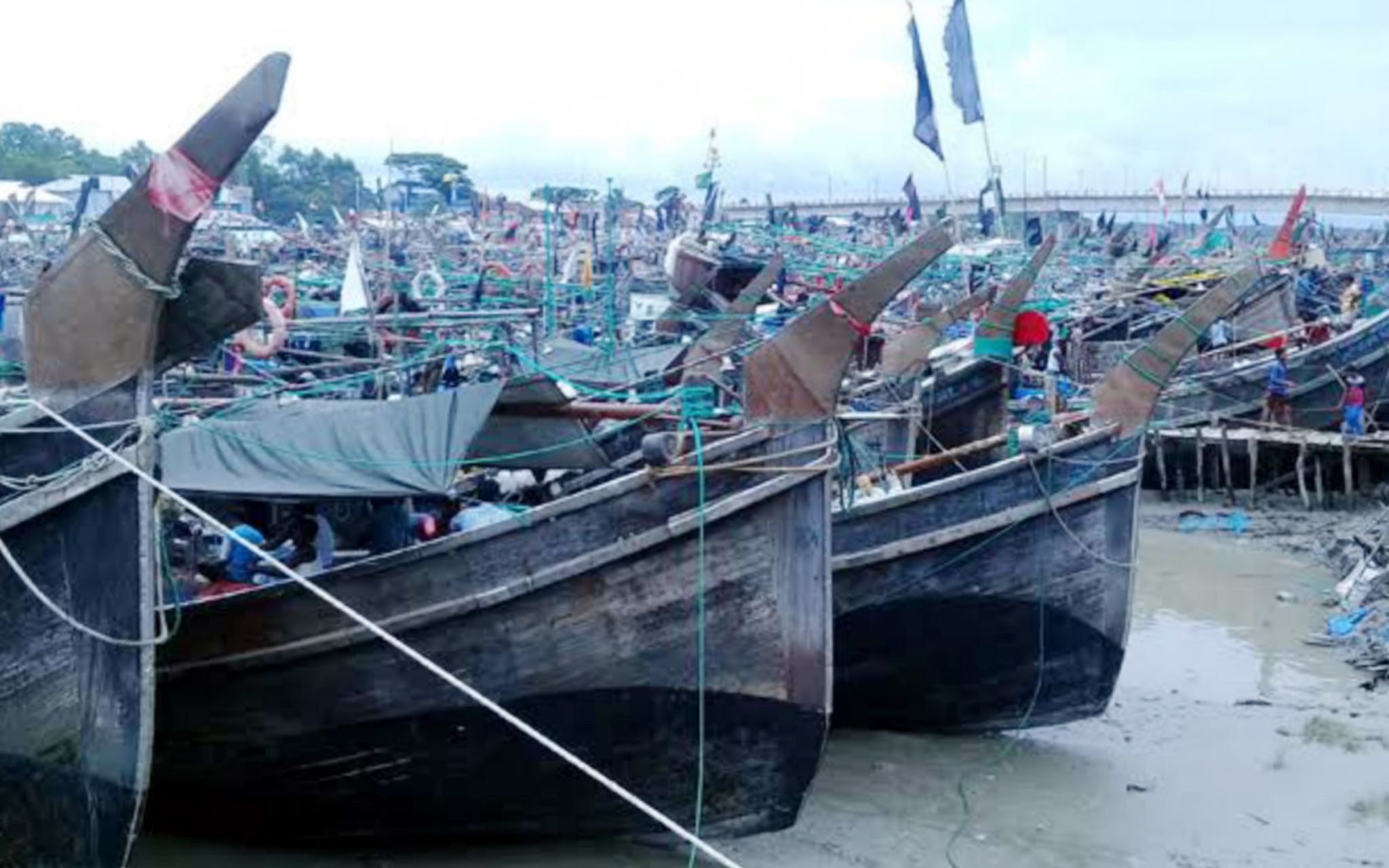 সুন্দরবনে অবৈধভাবে ইলিশ মাছ ধরার অভিযোগে ট্রলার সহ ৪৪ জেলে আটক