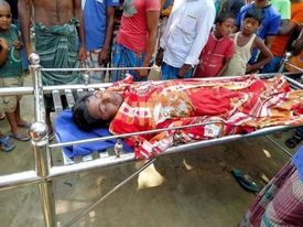 রাণীশংকৈলে সাপের কামড়ে এক যুবকের মৃত্যু